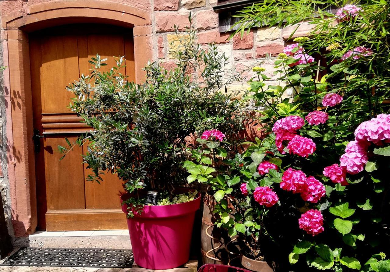 Hofgarten Rosa Ilbesheim bei Landau in der Pfalz